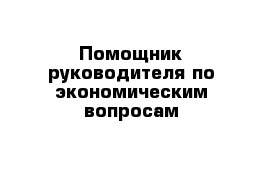 Помощник руководителя по экономическим вопросам